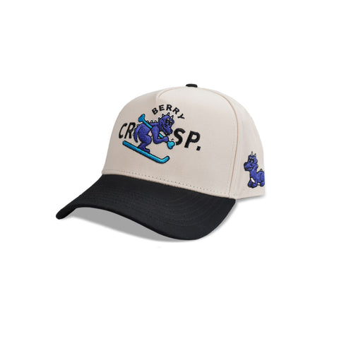 Baseball Ski Hat