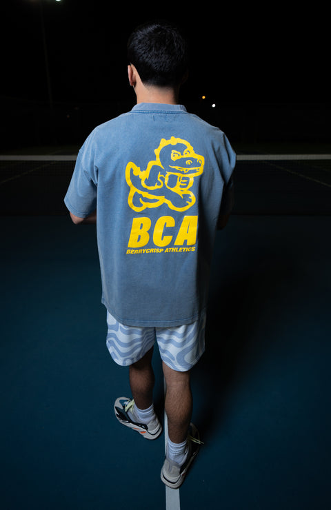 Blueberry Ice Athletic Tee