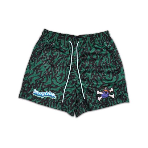 Sea Moss<br> Mesh Shorts