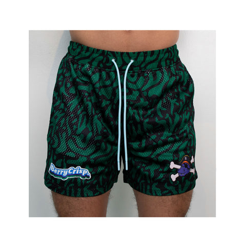 Sea Moss<br> Mesh Shorts