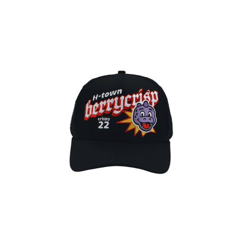 Htown Crispy Hat